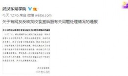 武汉学校爆料视频最新版,校园事件全纪录
